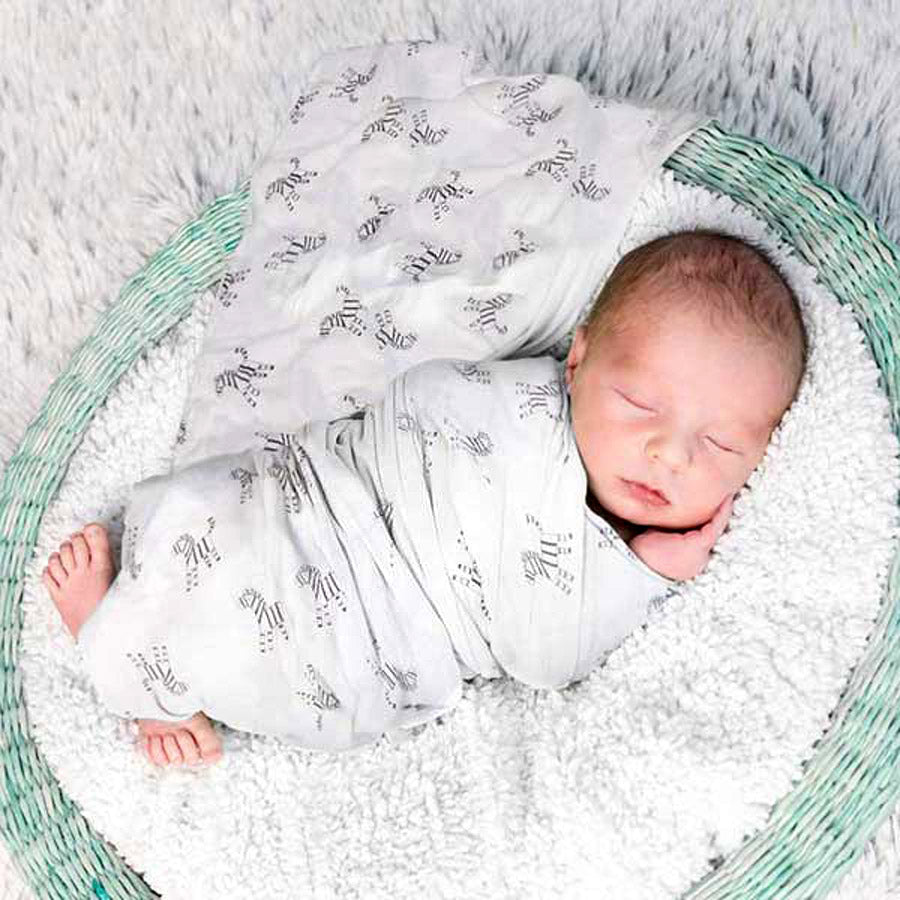 Early Years Concierge Organic Baby Muslin Square 110cm x 110cm Zebra Swaddling Baby